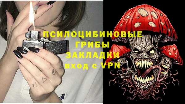 МДПВ Кулебаки
