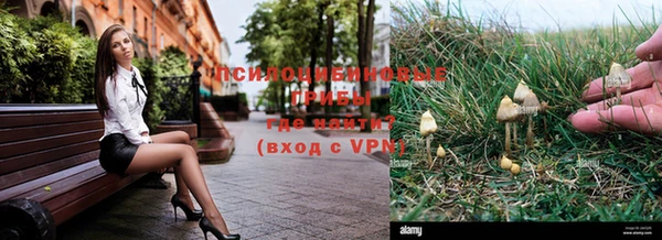 стаф Куйбышев