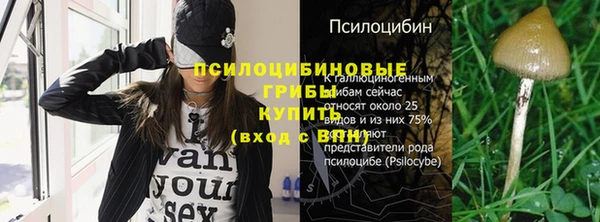 шишки Краснослободск
